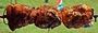 wedding-event-catering-spit-braai-port-elizabeth3
